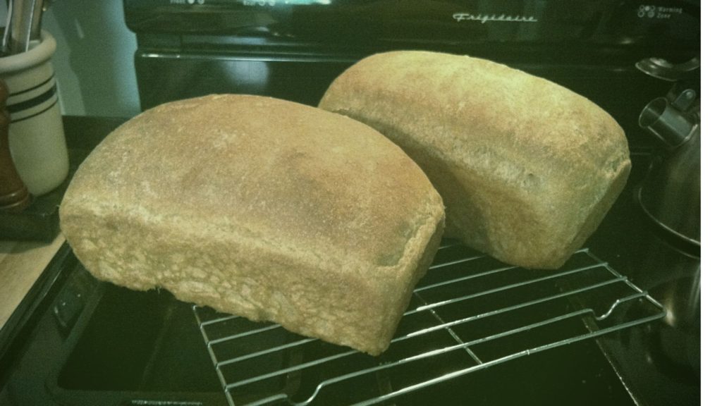 Homemade Sourdough--You Can Do It! » Tranquil Domesticity