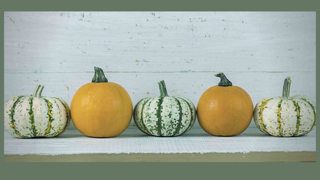 5 pumpkins in a row to mentally correlate with 5 reasons to cut the clutter before the holidays
